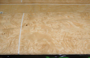Ξύλινος καπλαμάς Burl ξύλων καρυδιάς κατασκευής κίτρινος με το πάχος 0.50mm