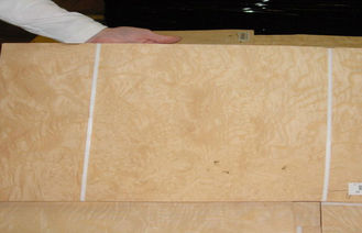 Η άσπρη φυσική φέτα καπλαμάδων τέφρας ξύλινη έκοψε το πάχος 0.5mm για την εσωτερική λήξη