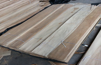Ο κατασκευαστικός φυσικός λεπτός καπλαμάς ξύλου σημύδων κατασκεύασε Prefinished